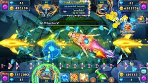 999kkd